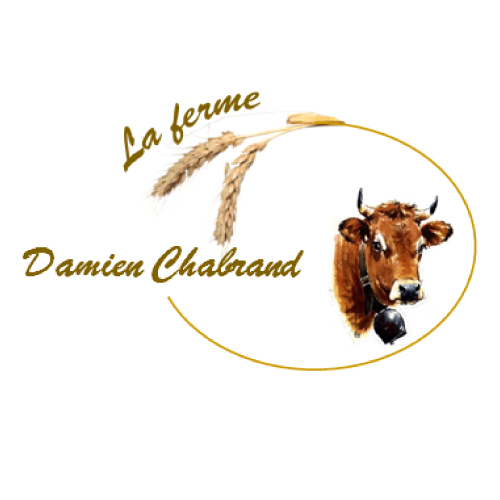 Logo Damien Chabrand