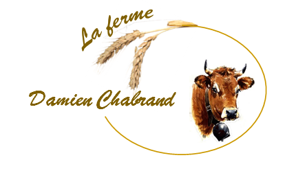 Logo Damien Chabrand